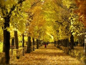 Driveways and entrances - www.myLusciousLife.com - Schonbrunn Palace Gardens in Autumn.jpg
